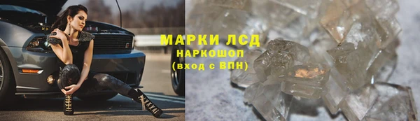 стафф Арсеньев