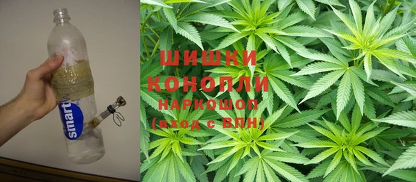 стафф Арсеньев