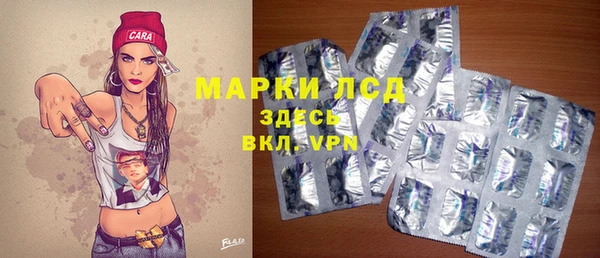 стафф Арсеньев