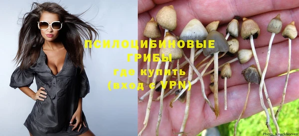 винт Аркадак